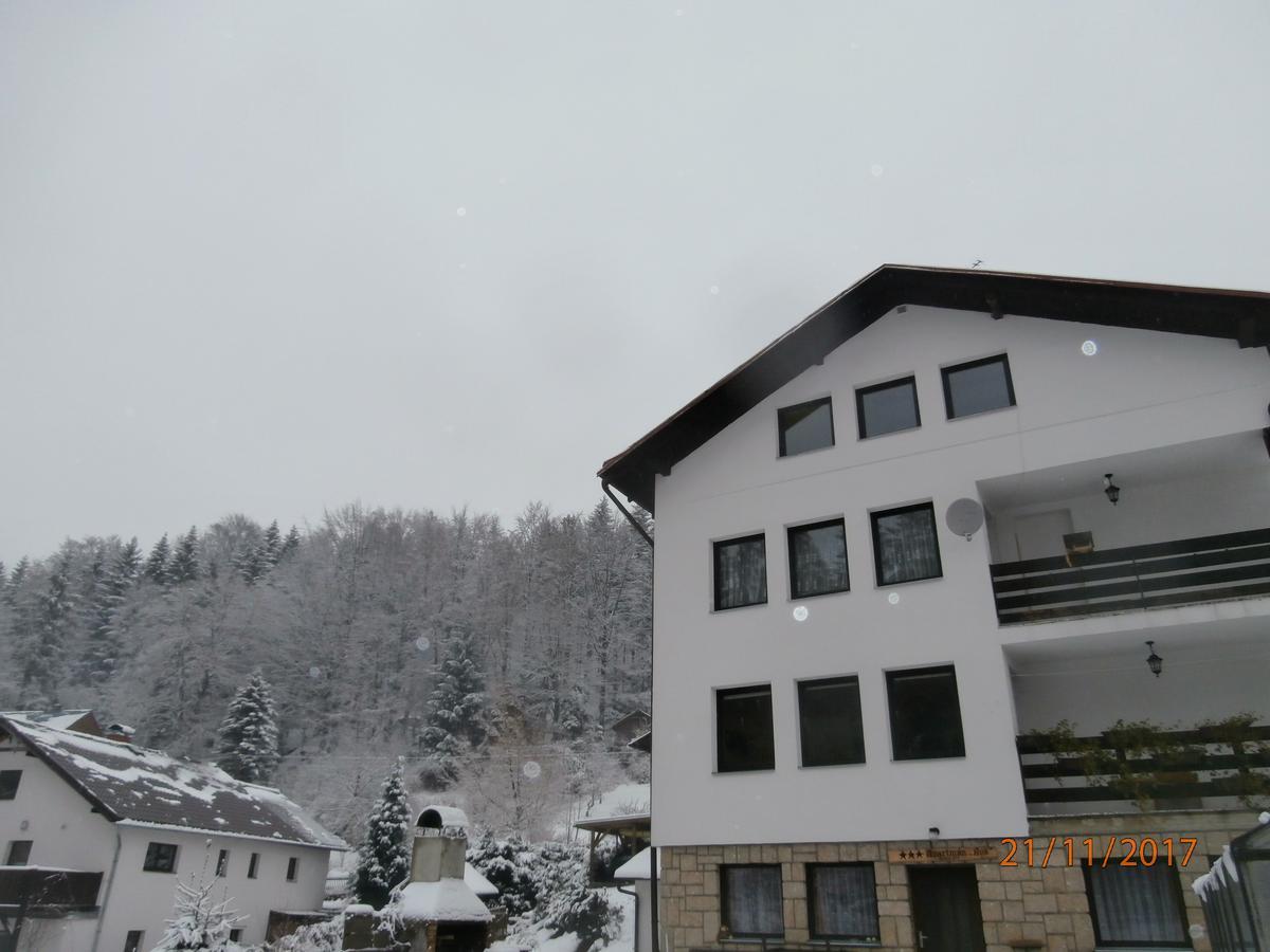 Apartman Aya Janov nad Nisou Exterior photo